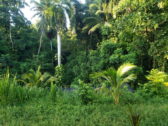 Twenty-Third image of 463 Orchard Gardens in Orchard, Hanover, Jamaica - property is For Sale