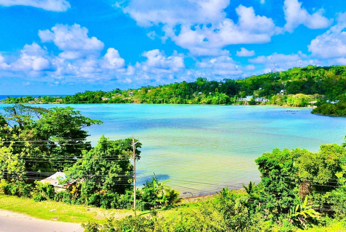 Twenty-Third image of 1a Industry Cove in Green Island, Hanover, Jamaica - property is For Sale