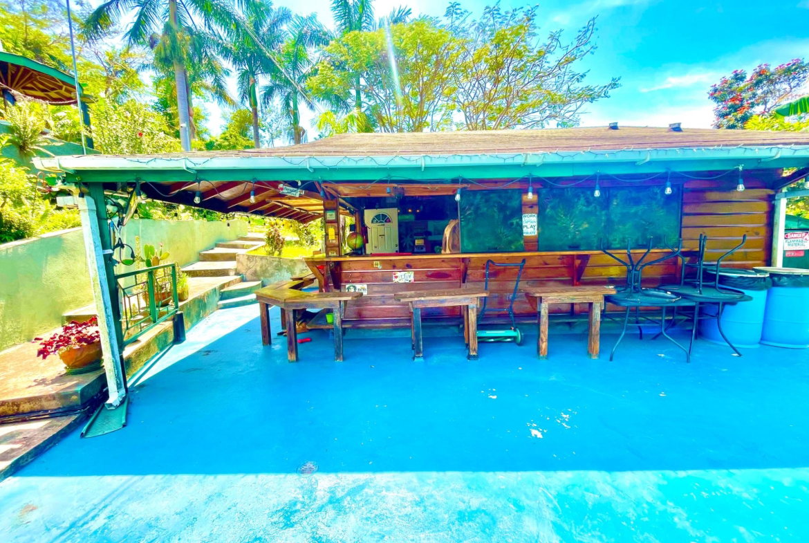 Thirtieth image of 1a Industry Cove in Green Island, Hanover, Jamaica - property is For Sale