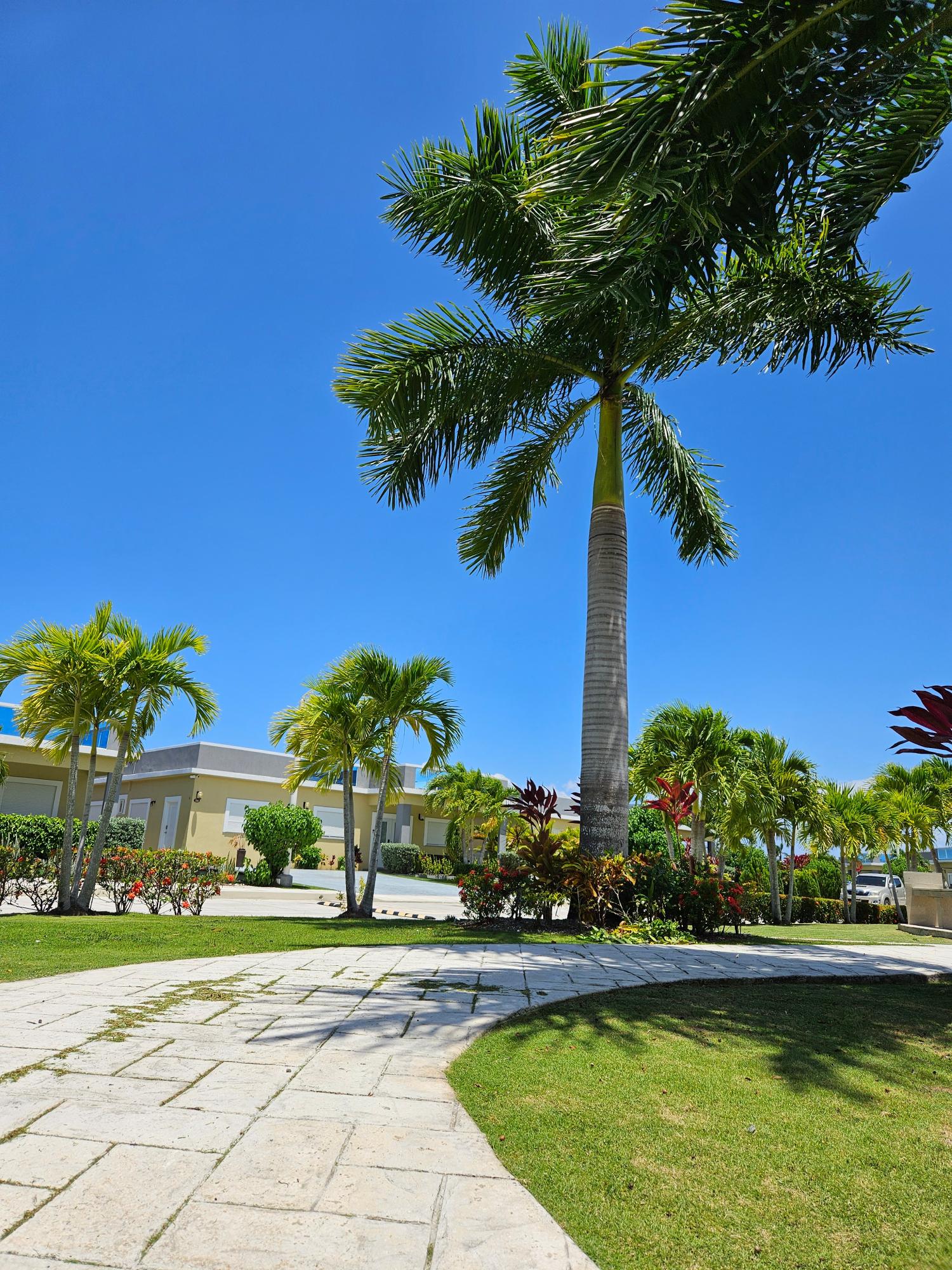 Fourth image of 42- Drax Hall Estate in Drax Hall Estate, St. Ann, Jamaica - property is For Rent