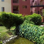 First image of 28-11 Musgrave Road in Kingston 5, St. Andrew, Jamaica - property is For Rent