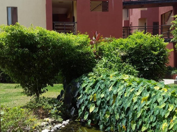 First image of 28-11 Musgrave Road in Kingston 5, St. Andrew, Jamaica - property is For Rent