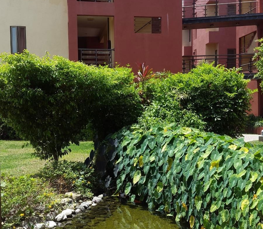 First image of 28-11 Musgrave Road in Kingston 5, St. Andrew, Jamaica - property is For Rent