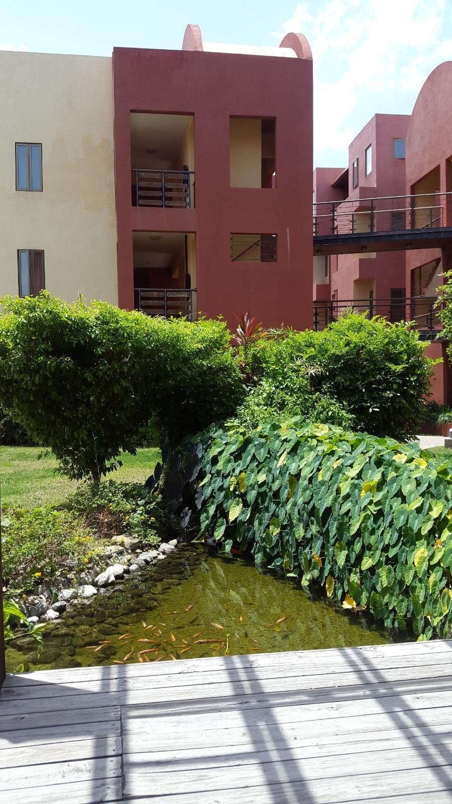 First image of 28-11 Musgrave Road in Kingston 5, St. Andrew, Jamaica - property is For Rent