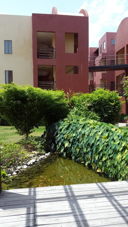First image of 28-11 Musgrave Road in Kingston 5, St. Andrew, Jamaica - property is For Rent