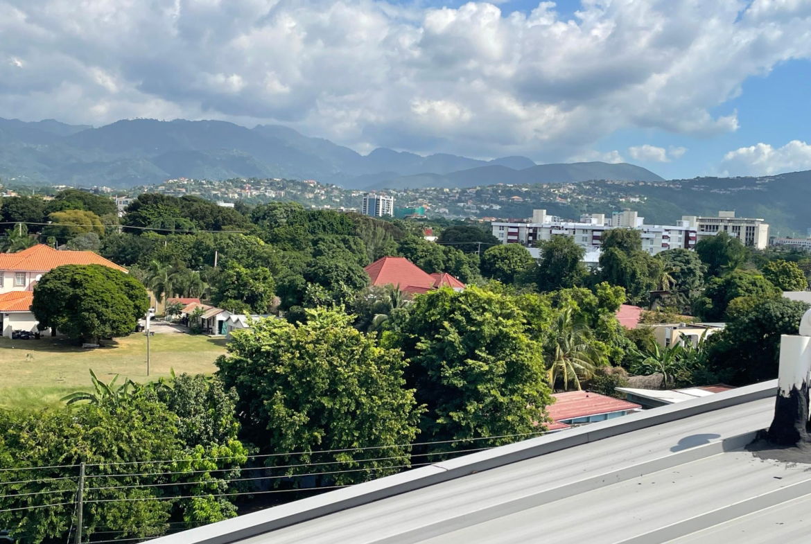 Twenty-Third image of 10 Surbiton Ave, Kingston 10 in Kingston 10, St. Andrew, Jamaica - property is For Sale