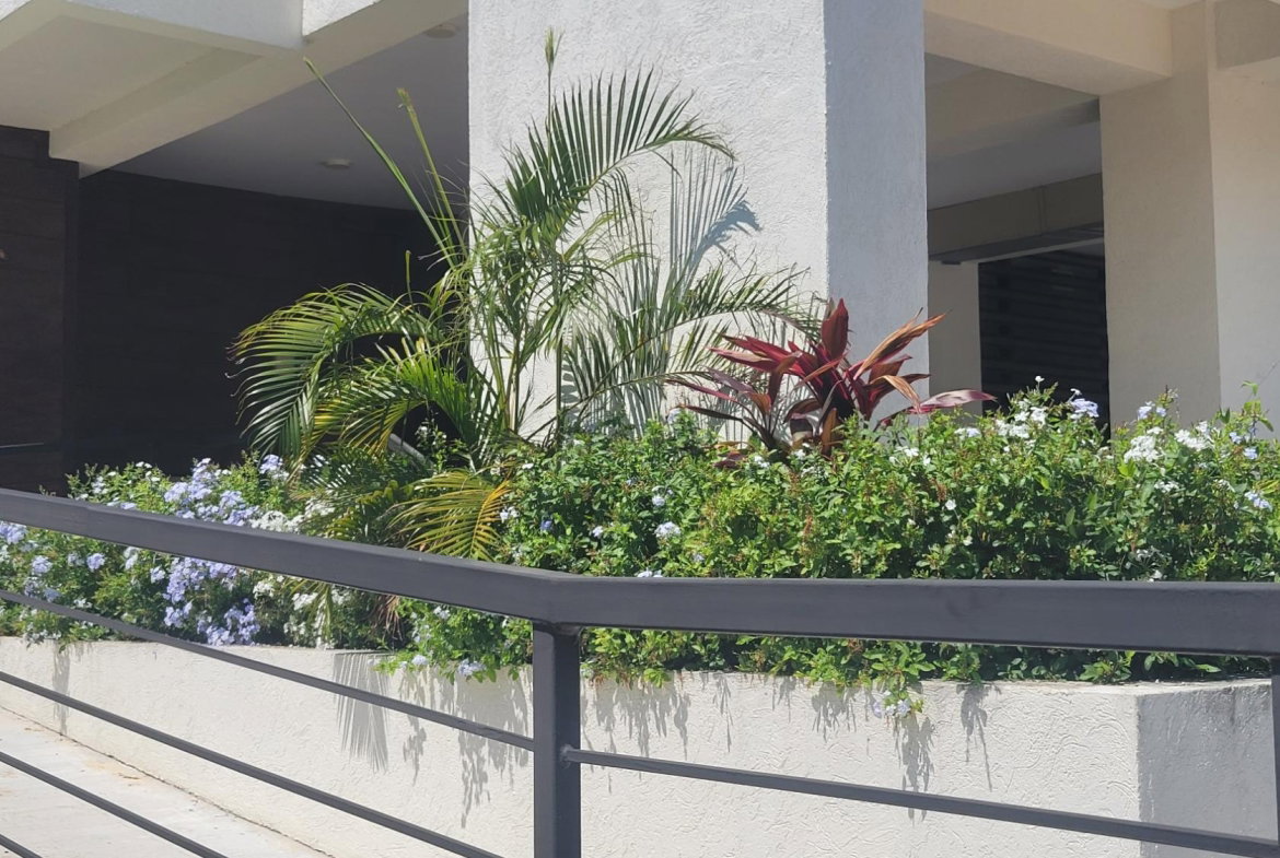 Fifth image of 6-71 Border Avenue in Kingston 19, St. Andrew, Jamaica - property is For Sale