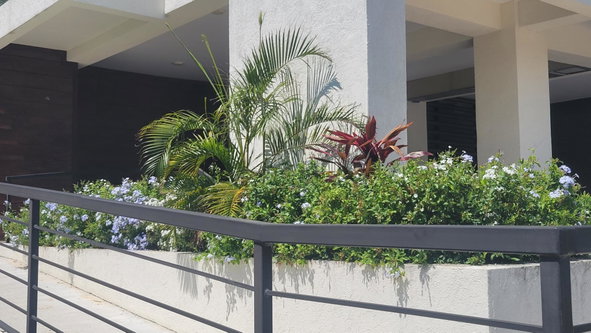 Fifth image of 6-71 Border Avenue in Kingston 19, St. Andrew, Jamaica - property is For Sale