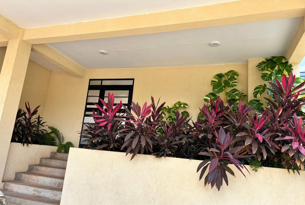 Twenty-Ninth image of 205-200 Mayfair Avenue in Red Hills, St. Andrew, Jamaica - property is For Rent