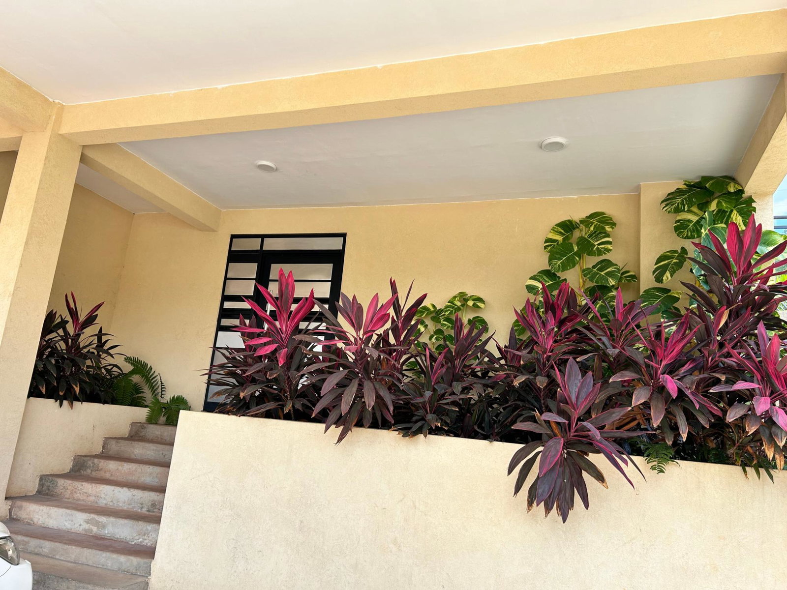 Twenty-Ninth image of 205-200 Mayfair Avenue in Red Hills, St. Andrew, Jamaica - property is For Rent