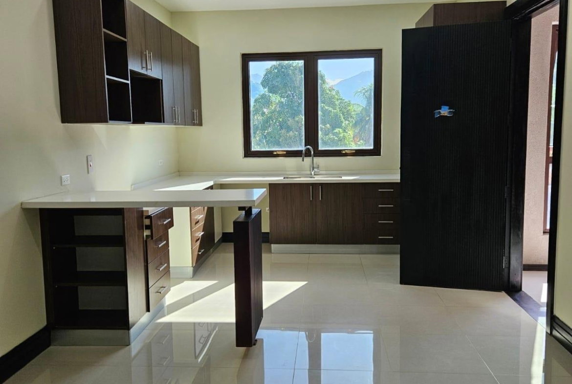 Fourth image of 12-41 Paddington Terrace in Kingston 6, St. Andrew, Jamaica - property is For Rent