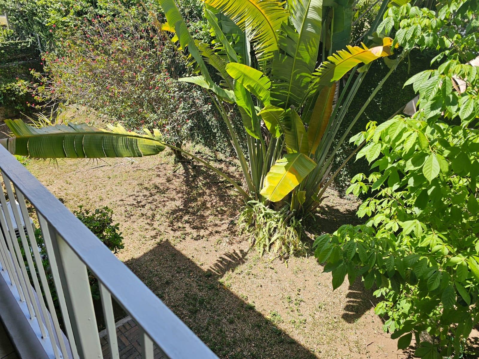 Twenty-Third image of Unit 8,- 1 Reading, Montego Bay in Montego Bay, St. James, Jamaica - property is For Rent