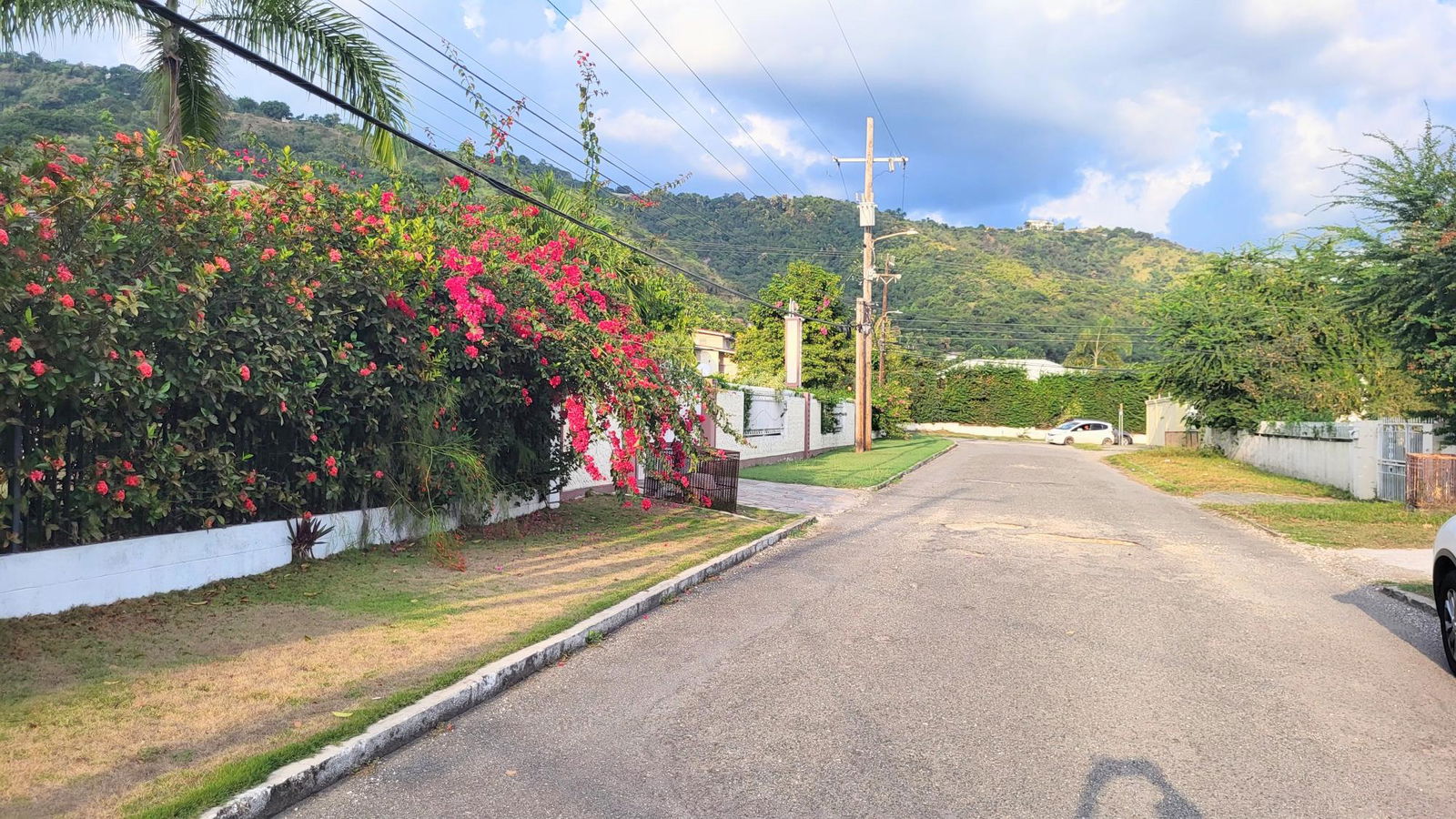 Twenty-Fourth image of Unit #3-5 Hope View Avenue in Kingston 6, St. Andrew, Jamaica - property is For Rent
