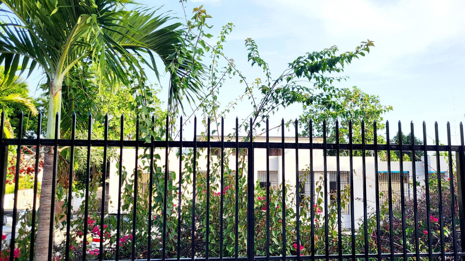 First image of Unit #3-5 Hope View Avenue in Kingston 6, St. Andrew, Jamaica - property is For Rent