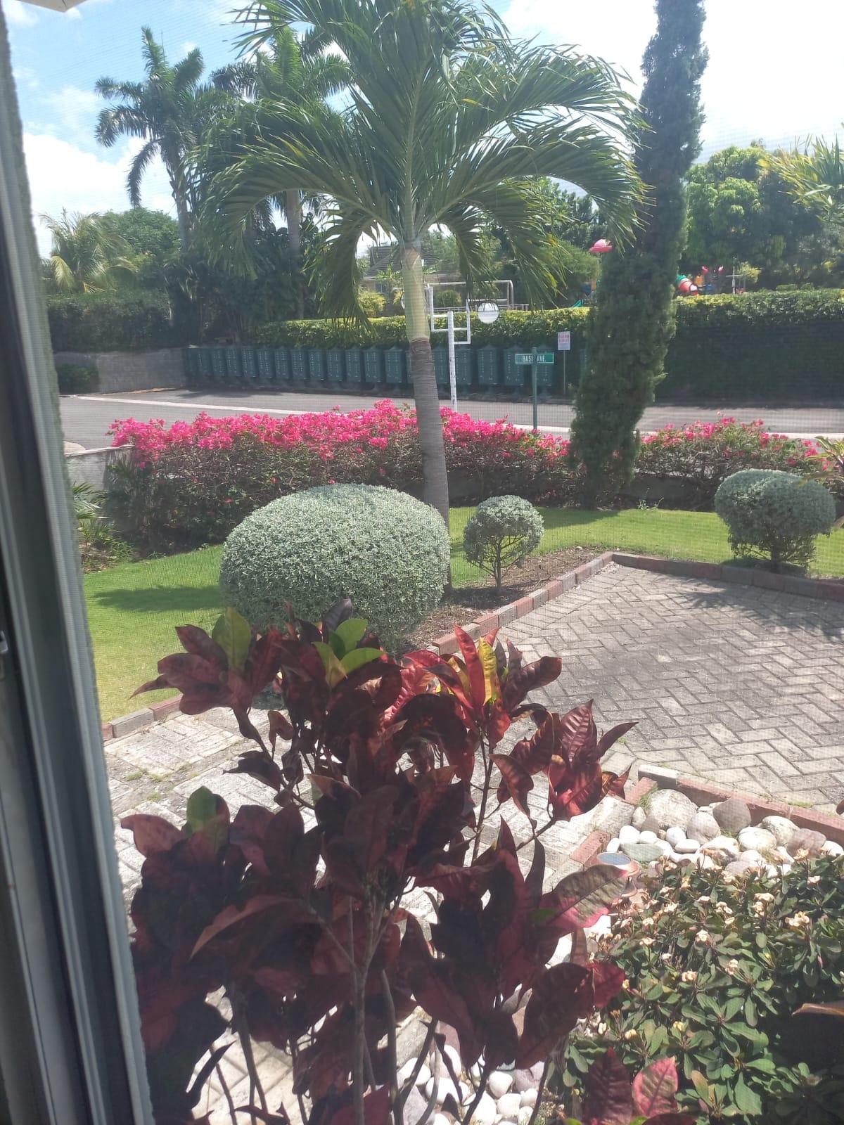 Eighth image of 437-coolshade Richmond Estate, in Richmond, St. Ann, Jamaica - property is For Rent