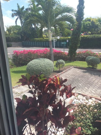Eighth image of 437-coolshade Richmond Estate, in Richmond, St. Ann, Jamaica - property is For Rent