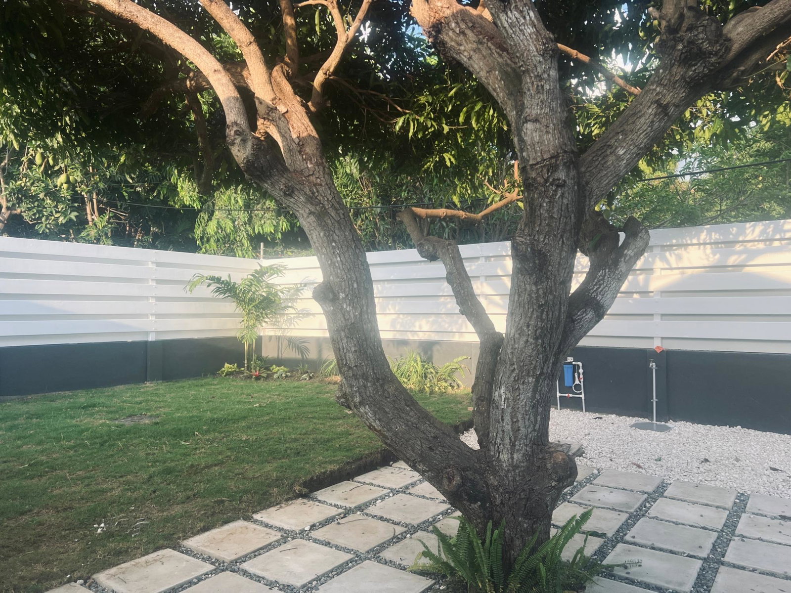 Fifteenth image of 6 Temple Meads in Kingston 6, St. Andrew, Jamaica - property is For Rent