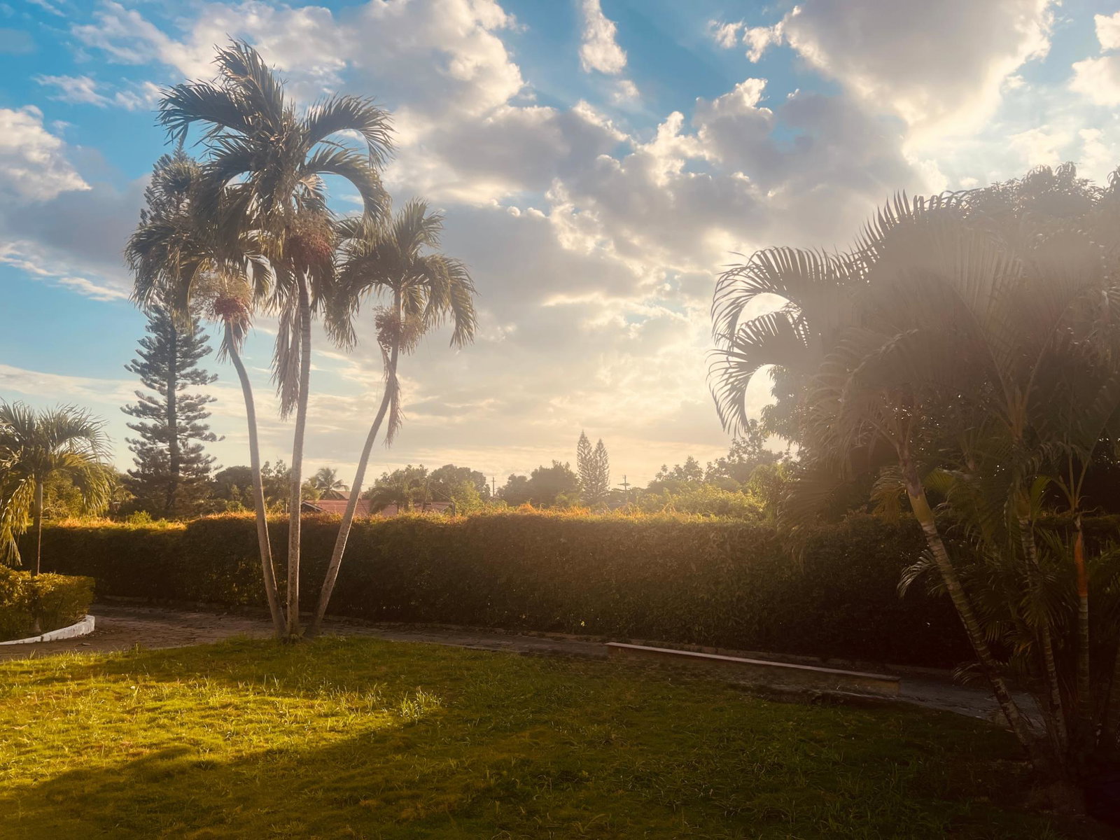 Seventeenth image of 6 Temple Meads in Kingston 6, St. Andrew, Jamaica - property is For Rent