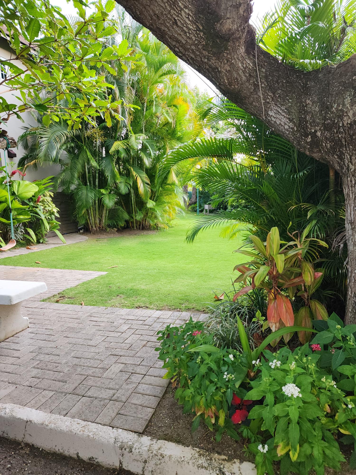 Twenty-Fifth image of 8 Upper Mark Way in Kingston 8, St. Andrew, Jamaica - property is For Rent