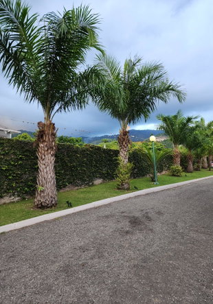 Twenty-Sixth image of 8 Upper Mark Way in Kingston 8, St. Andrew, Jamaica - property is For Rent