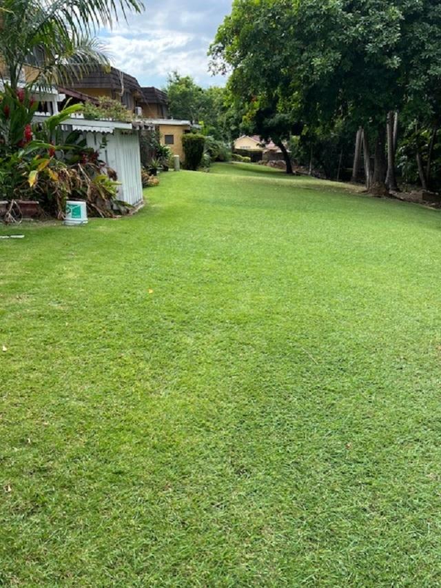 Tenth image of 9-61-63 Shortwood Road in Kingston 8, St. Andrew, Jamaica - property is For Rent