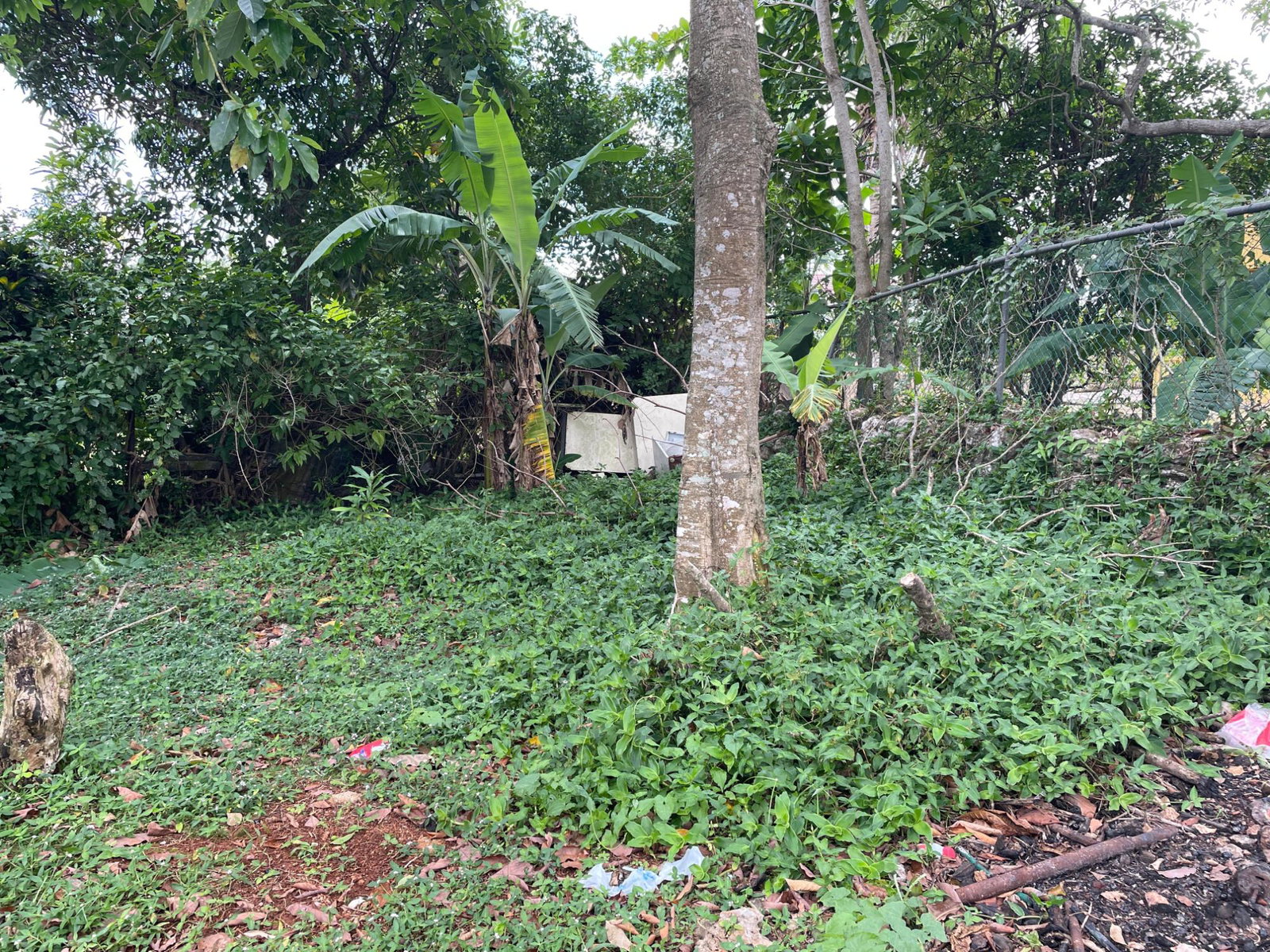 Fourteenth image of Lot 7 Clifton Heights in Mandeville, Manchester, Jamaica - property is For Sale