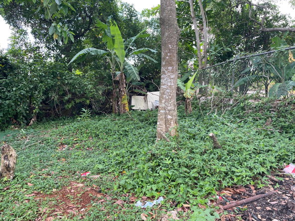 Fourteenth image of Lot 7 Clifton Heights in Mandeville, Manchester, Jamaica - property is For Sale