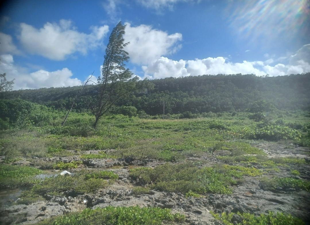 Fourth image of 23 Bengal in Discovery Bay, St. Ann, Jamaica - property is For Sale