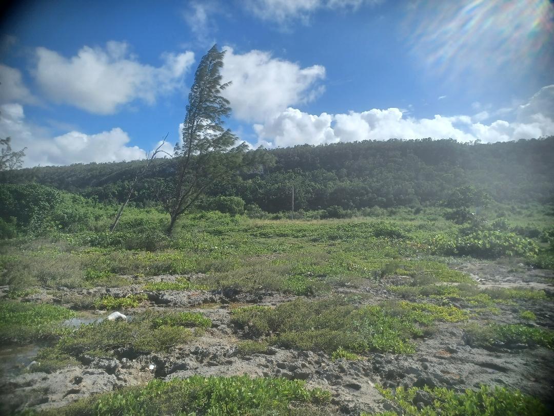 Fourth image of 23 Bengal in Discovery Bay, St. Ann, Jamaica - property is For Sale