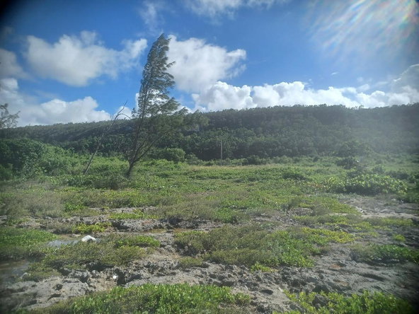 Fourth image of 23 Bengal in Discovery Bay, St. Ann, Jamaica - property is For Sale