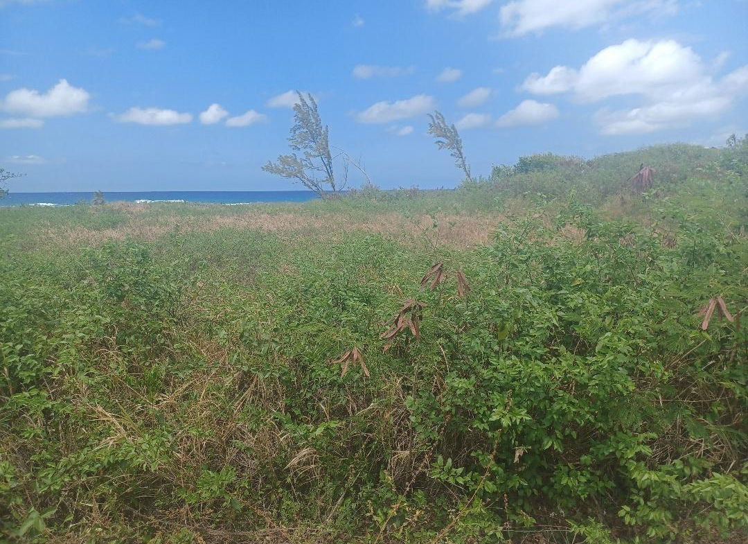 Fifth image of 23 Bengal in Discovery Bay, St. Ann, Jamaica - property is For Sale