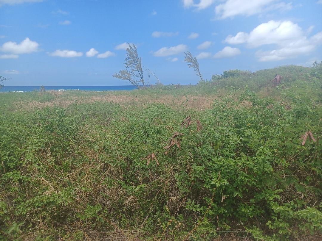 Fifth image of 23 Bengal in Discovery Bay, St. Ann, Jamaica - property is For Sale