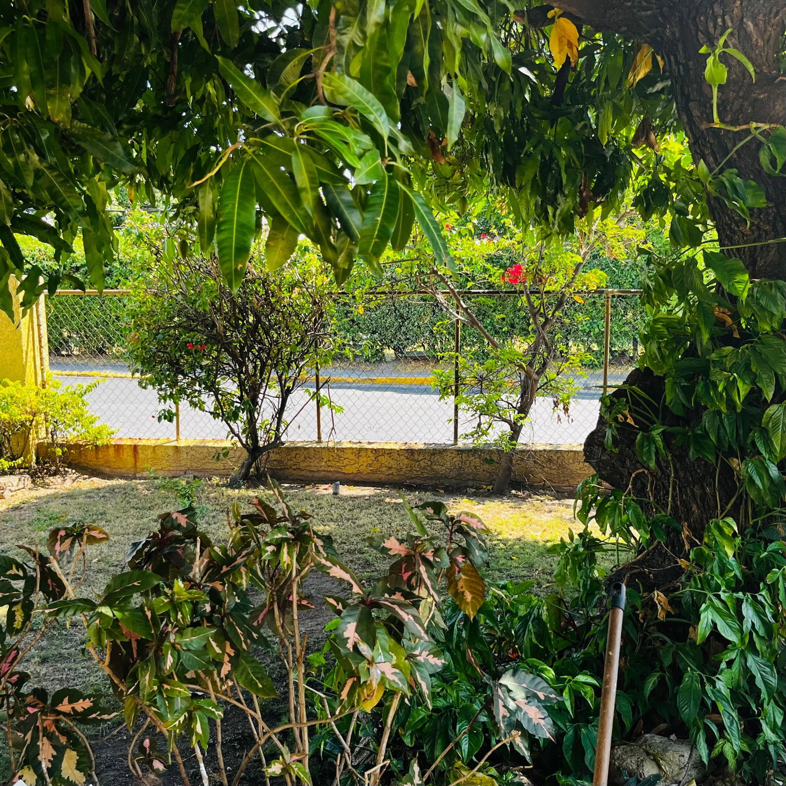 Seventh image of 1-24 Cargill Avenue in Kingston 10, St. Andrew, Jamaica - property is For Rent