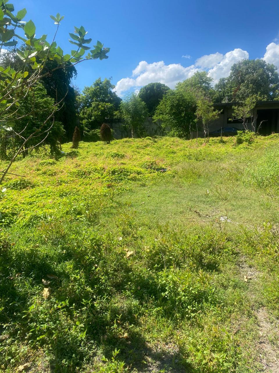 Fourth image of Old Harbour Road (beggar' in Sydenham, St. Catherine, Jamaica - property is For Sale