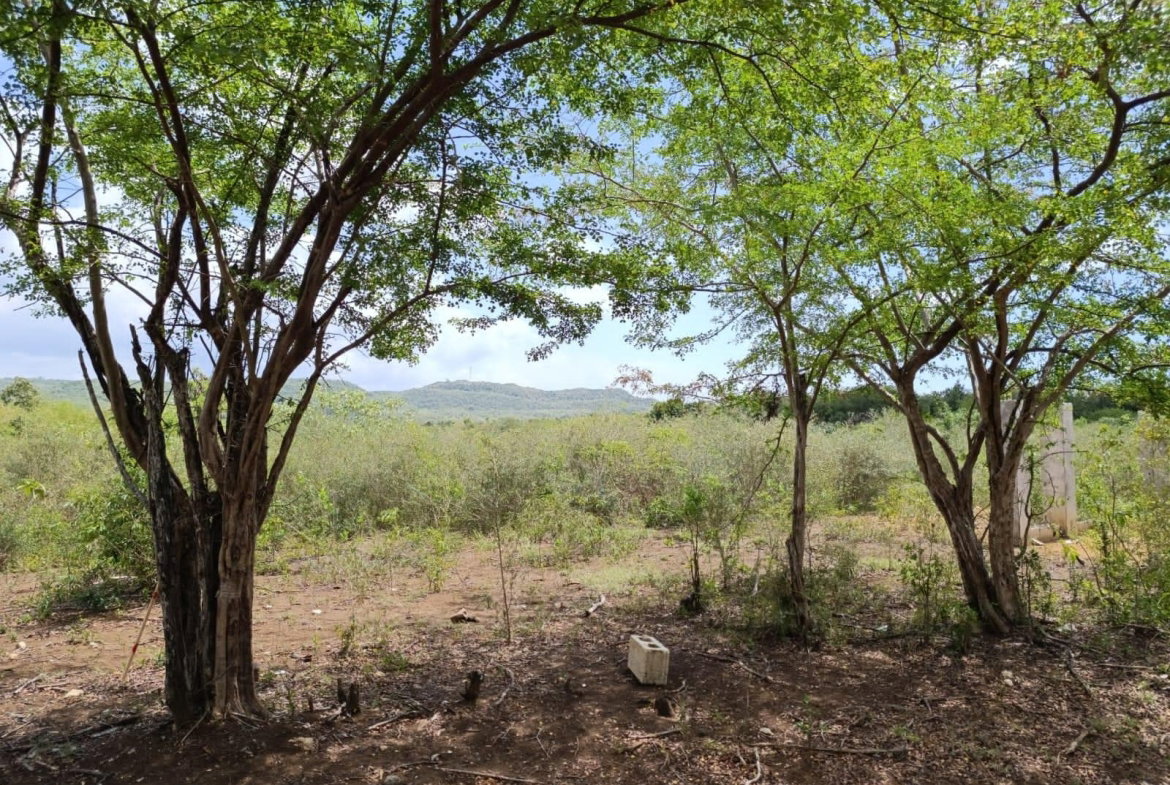 Second image of Bannister,old Harbor in Bannister, St. Catherine, Jamaica - property is For Sale