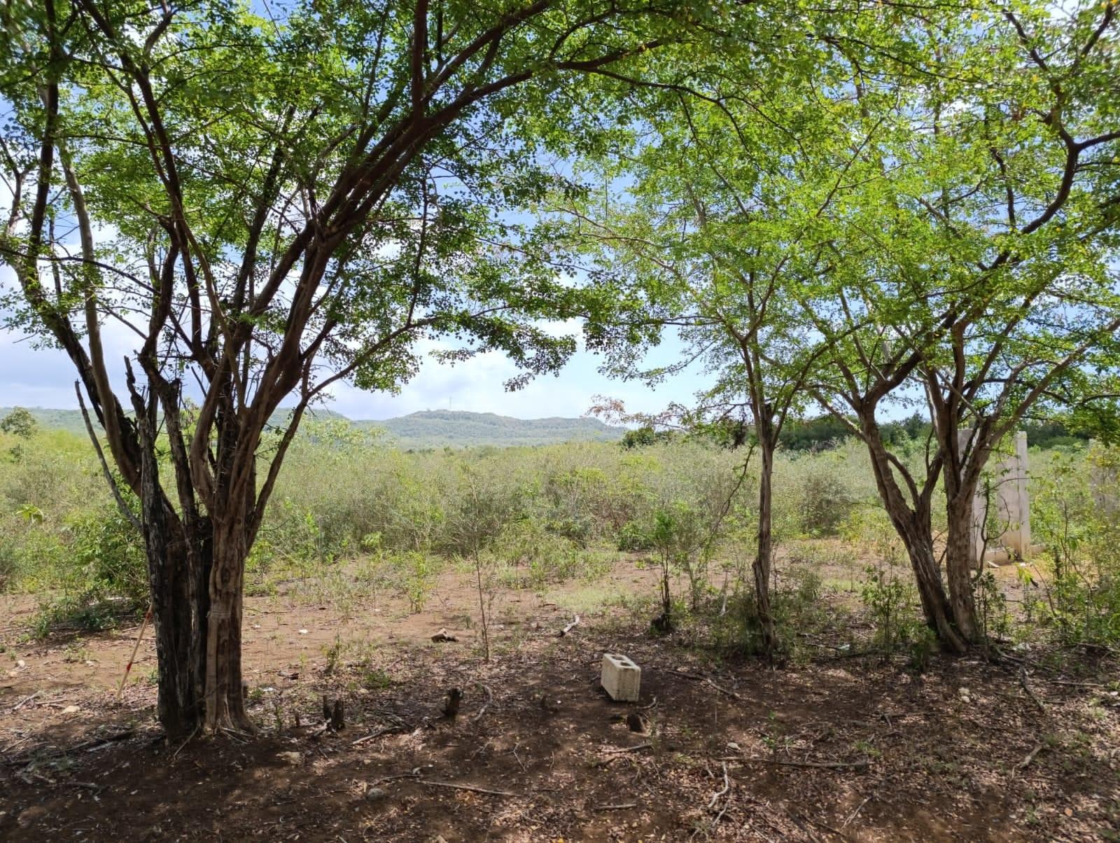 Second image of Bannister,old Harbor in Bannister, St. Catherine, Jamaica - property is For Sale