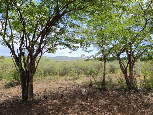 Second image of Bannister,old Harbor in Bannister, St. Catherine, Jamaica - property is For Sale