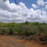 First image of Bannister,old Harbor in Bannister, St. Catherine, Jamaica - property is For Sale