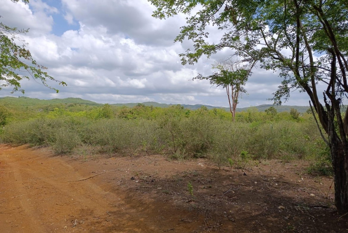 Fourth image of Bannister,old Harbor in Bannister, St. Catherine, Jamaica - property is For Sale