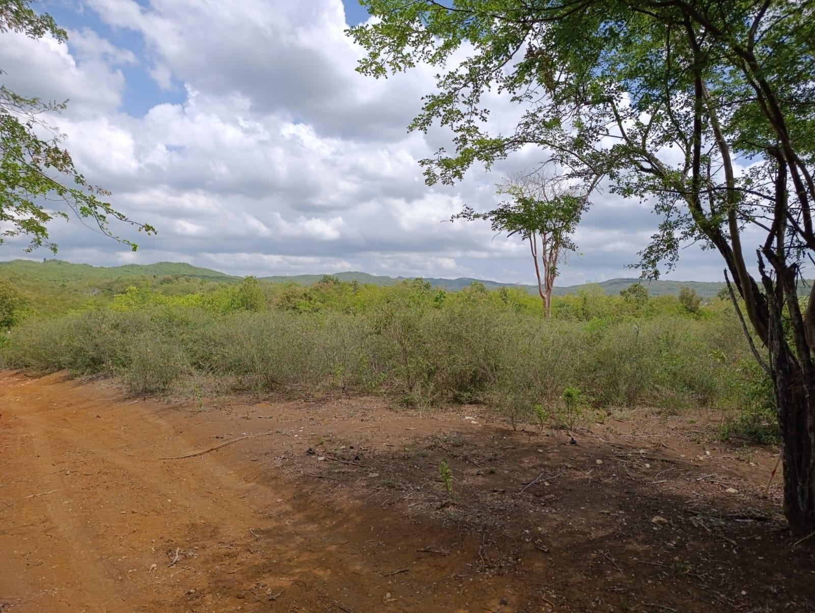 Fourth image of Bannister,old Harbor in Bannister, St. Catherine, Jamaica - property is For Sale