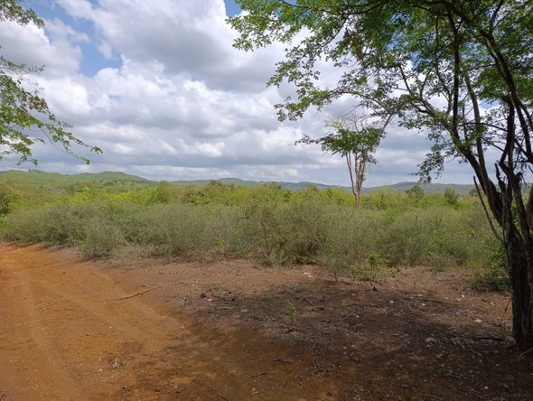 Fourth image of Bannister,old Harbor in Bannister, St. Catherine, Jamaica - property is For Sale