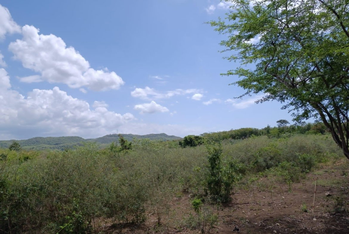 Fifth image of Bannister,old Harbor in Bannister, St. Catherine, Jamaica - property is For Sale