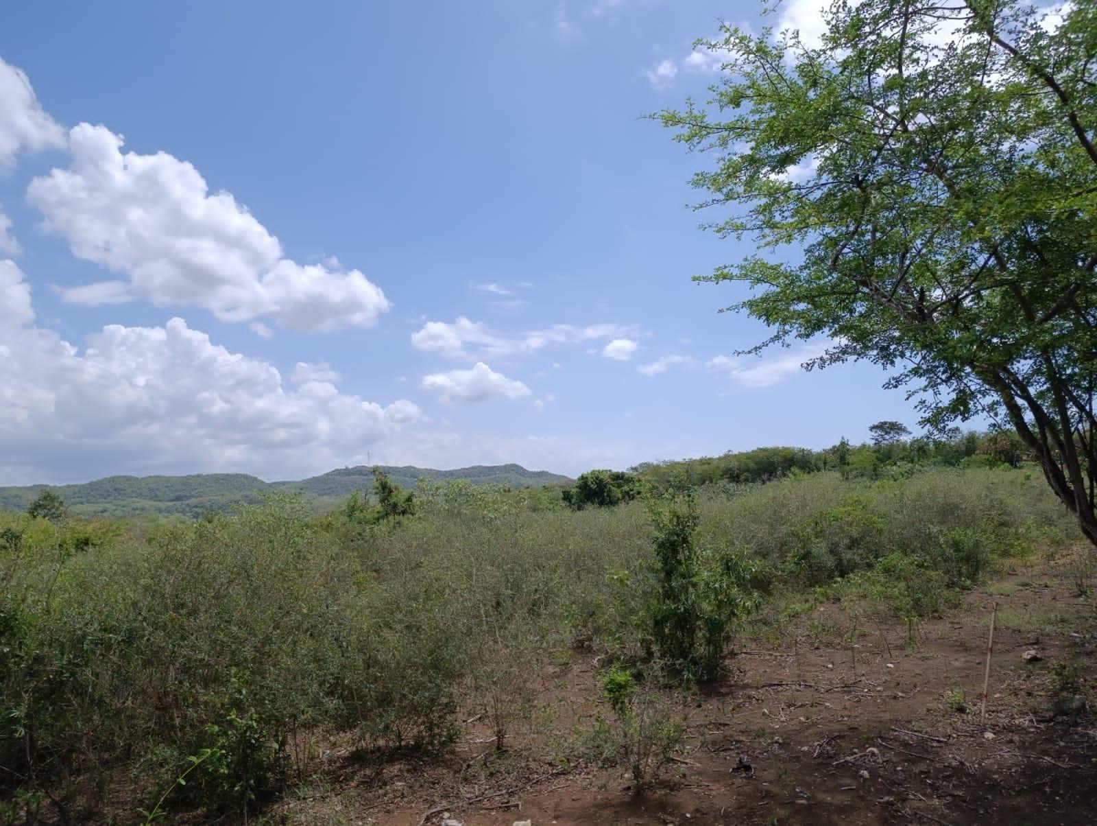 Fifth image of Bannister,old Harbor in Bannister, St. Catherine, Jamaica - property is For Sale