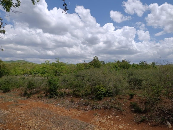 First image of Bannister,old Harbor in Bannister, St. Catherine, Jamaica - property is For Sale