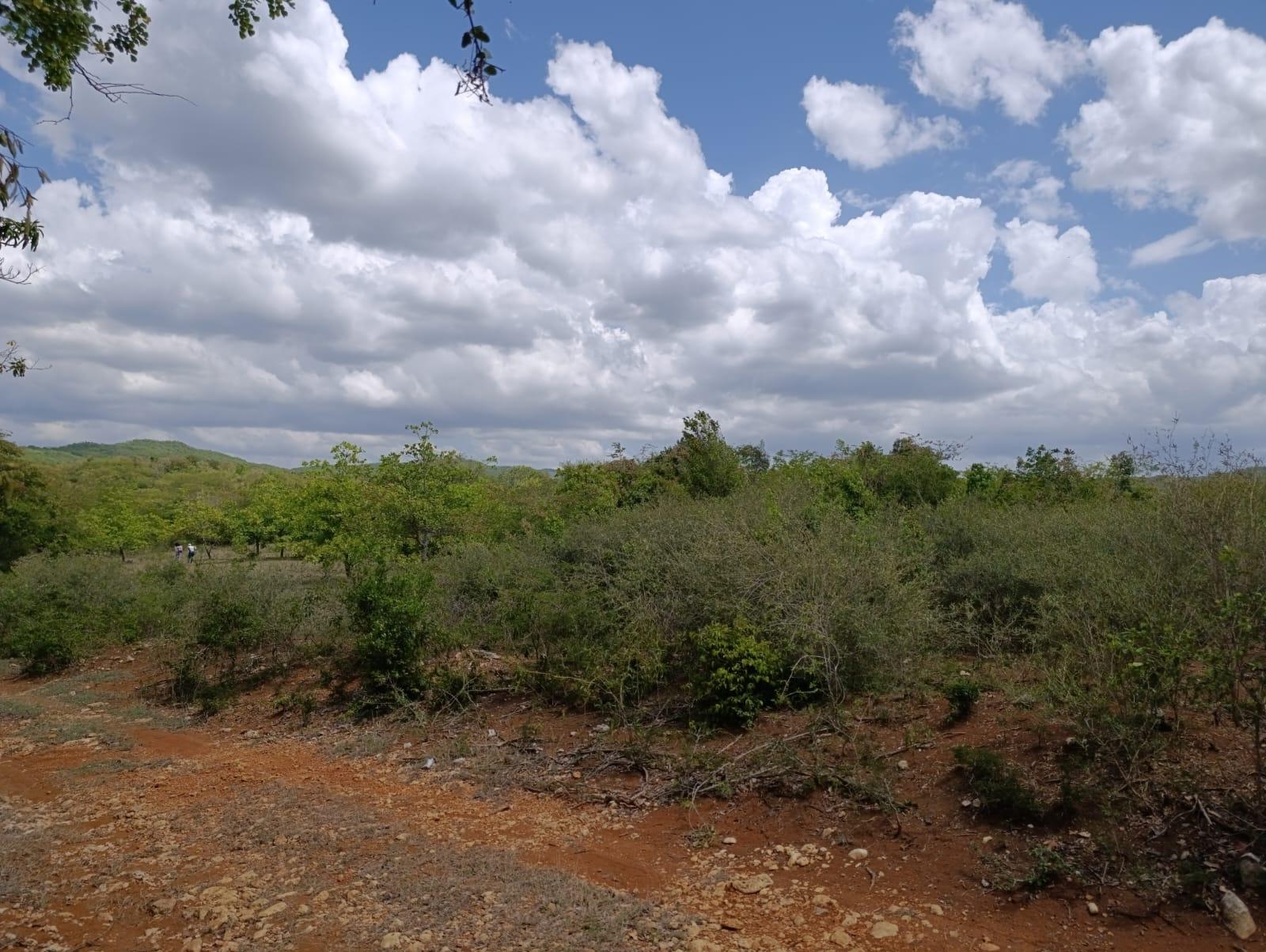 First image of Bannister,old Harbor in Bannister, St. Catherine, Jamaica - property is For Sale