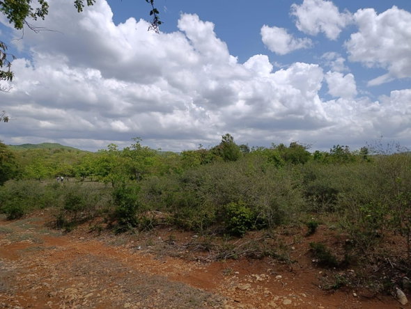 First image of Bannister,old Harbor in Bannister, St. Catherine, Jamaica - property is For Sale
