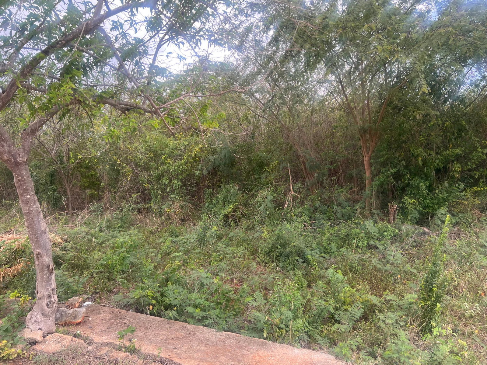 Second image of St. Hilda Road, Green Acr in Green Acres, St. Catherine, Jamaica - property is For Sale