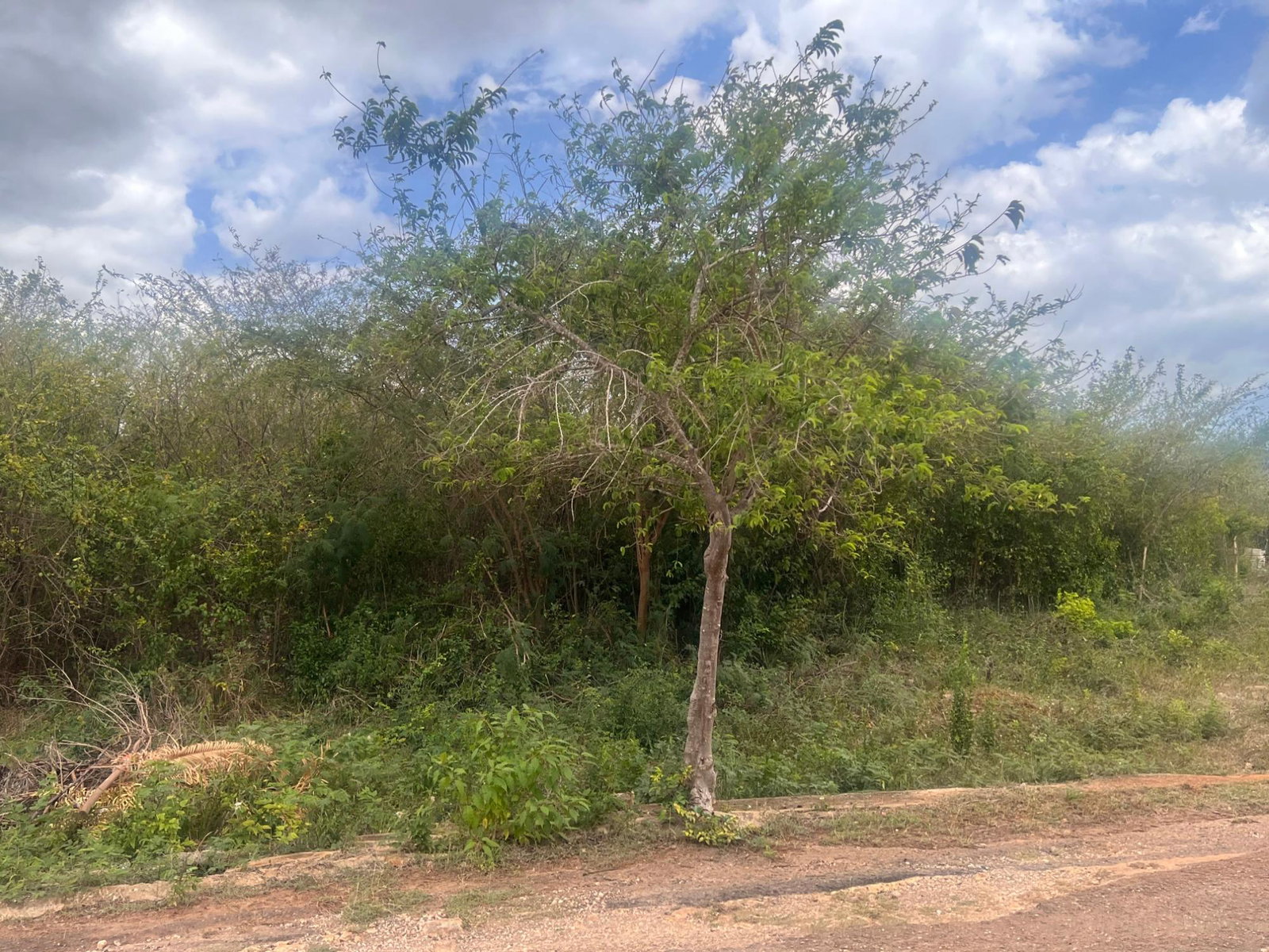 Third image of St. Hilda Road, Green Acr in Green Acres, St. Catherine, Jamaica - property is For Sale