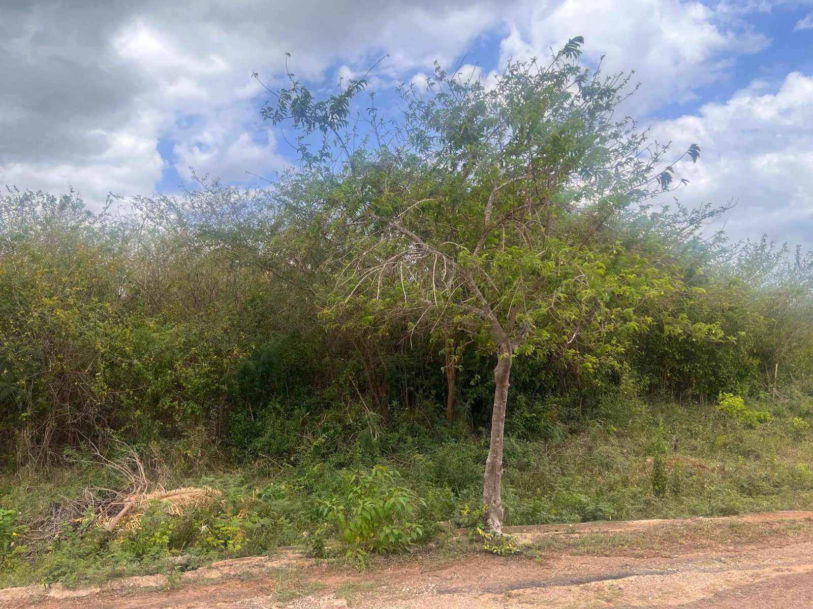 Sixth image of St. Hilda Road, Green Acr in Green Acres, St. Catherine, Jamaica - property is For Sale