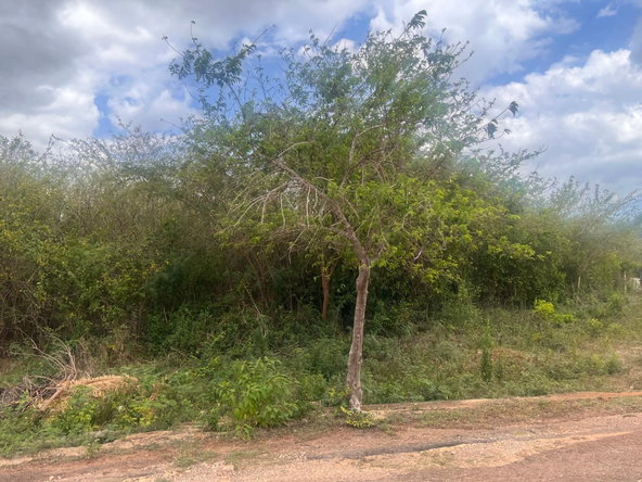 Seventh image of St. Hilda Road, Green Acr in Green Acres, St. Catherine, Jamaica - property is For Sale